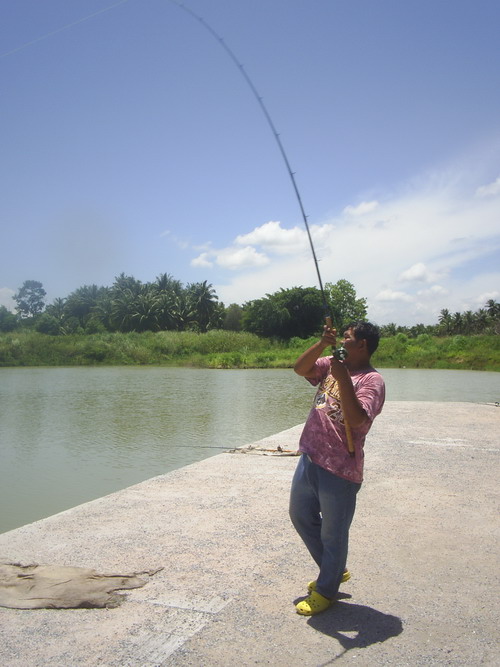 ตะเคี้ยนเตี้ยFishing อีกครั้ง