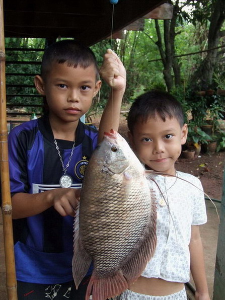 ปลาเเรดแม่น้ำปราจีนบุรี