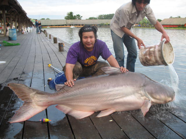 ฉลอง 400 บาท ครับ กับ 100 Kg กว่า