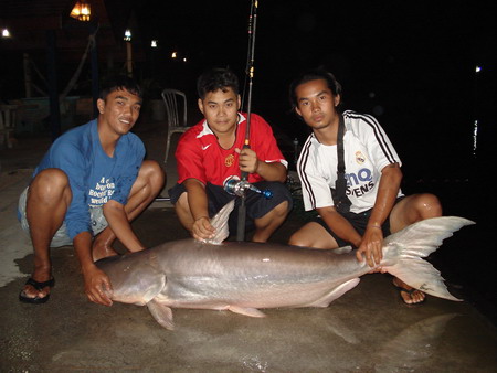 พัทยาฟิชชิ่ง8