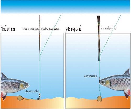 หัดตกชิงหลิว