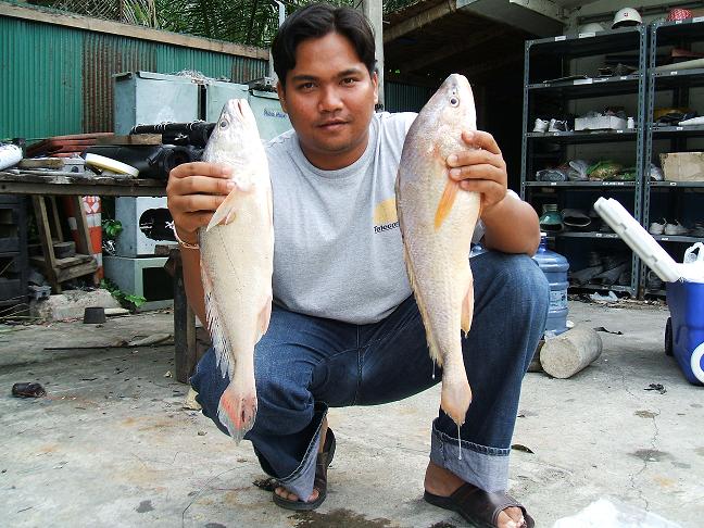 รวมภาพที่ผ่านมาของทีม TRUE FISHING ส่งท้ายปี 2550