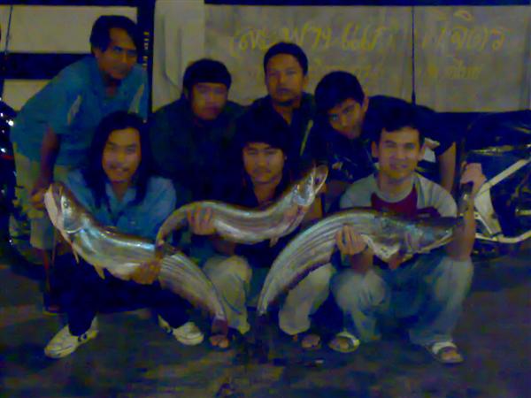 7 ทีได้ 6 ตัวกับปลาเค้าเจ้าเก่าที่ปราจีนบุรี