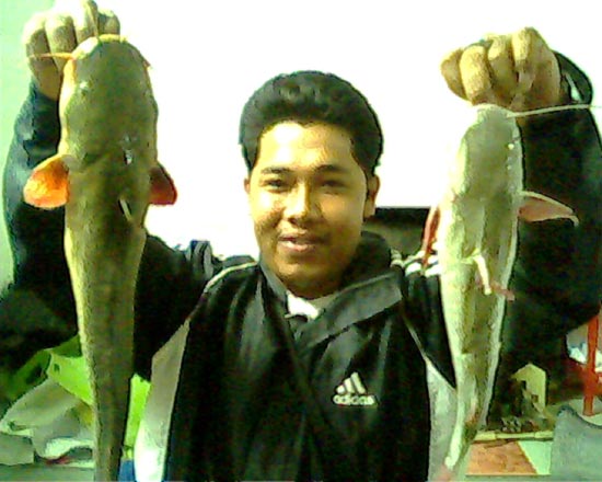 ปลากะพงที่ปากพนังคับ