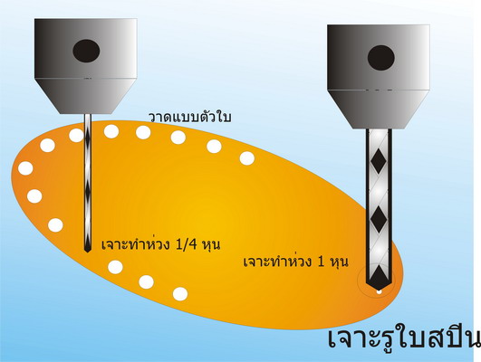 หัดทำสปินเนอร์กัน