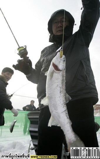 มหกรรมตกปลาใต้น้ำแข็งที่เกาหลี