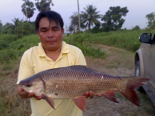 วันหยุดตรุษจีนไปตกปลาแถวนครปฐม