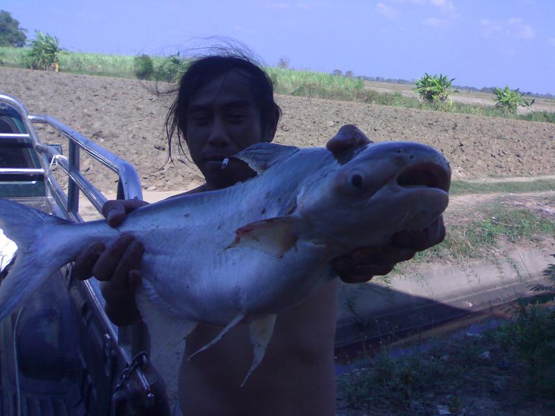 คลองท่าสาร อ.กำแพงแสน
