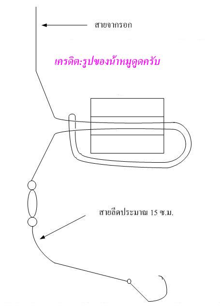 Upgrade:สูตรสวายและบึกที่ระแวงเบ็ด