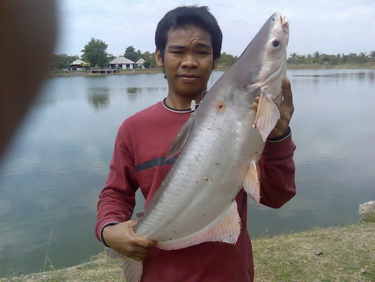 รวมมิตรfishing.by..sping fishing team