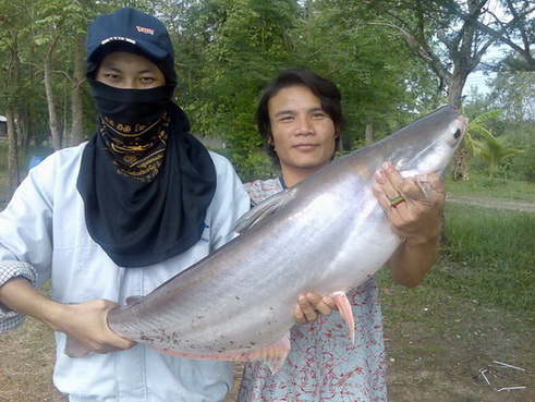 รวมมิตรfishing.by..sping fishing team