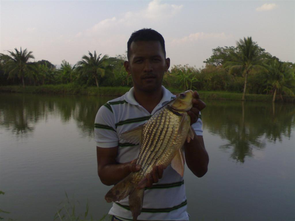 บ่อตกปลา ผึ้งหลวง fishing parkที่เมืองก(หลังโลตัส)