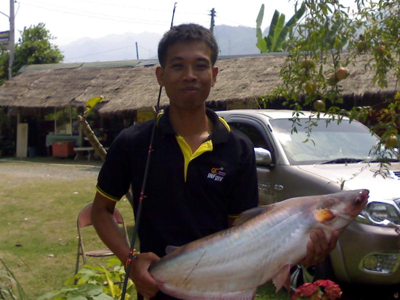 บ่อตกปลา ผึ้งหลวง fishing parkที่เมืองก(หลังโลตัส)