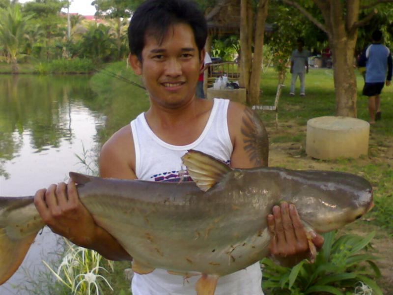 บ่อตกปลา ผึ้งหลวง fishing parkที่เมืองก(หลังโลตัส)