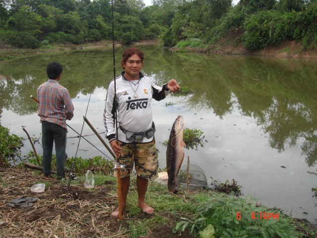 ชะโด บางไผ่ 2 ทีมงานก้างปลา fishing