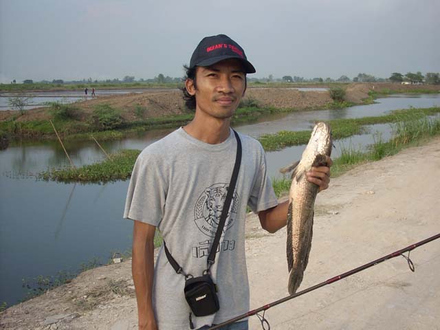 Songkran