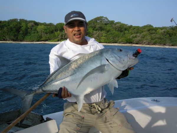 GT Giant Trevally - บีนัวงัน - Indonesia