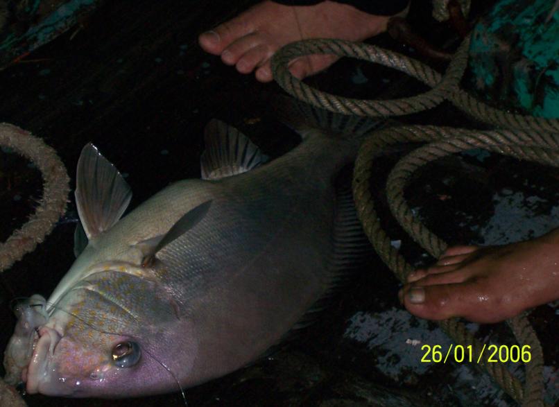 U-Turn Fishing  เพชรบุรี  สุดยอดแห่งความมัน