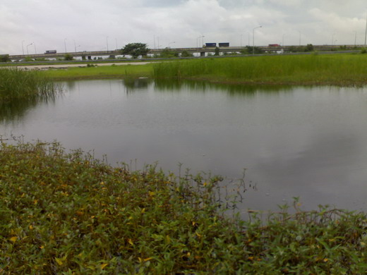 เมื่อเช้านี้ที่แยก 345 ครับ