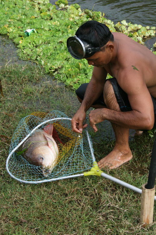 ยี่สกใหญ่ๆ เขื่อนศรี ขำๆ