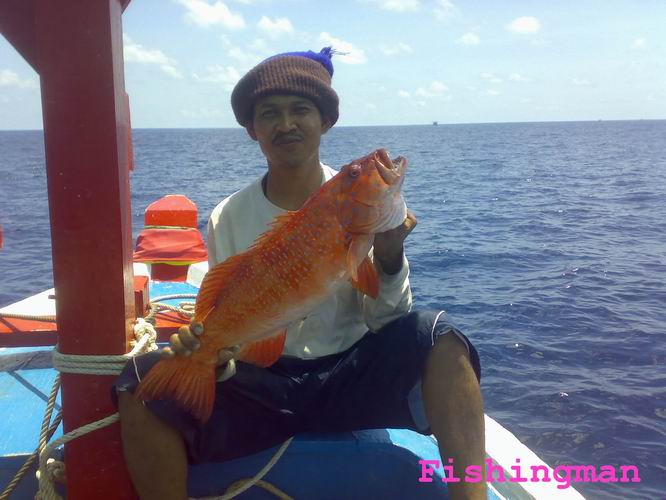 เกาะราชา ^ ภูเก็ต^  วันสบายๆ กับ   Fishingman