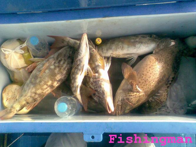 เกาะราชา ^ ภูเก็ต^  วันสบายๆ กับ   Fishingman