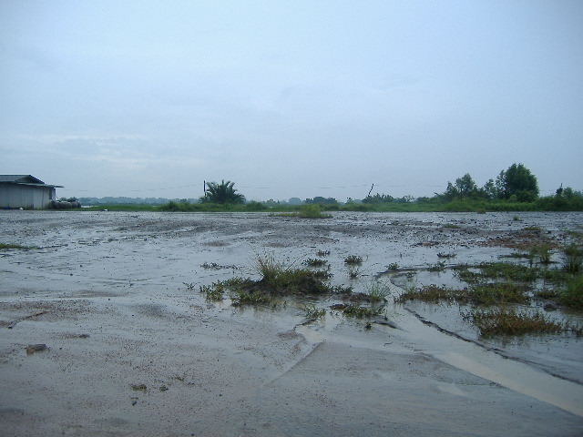 วังกุ้งที่พันท้ายนรสิงห์