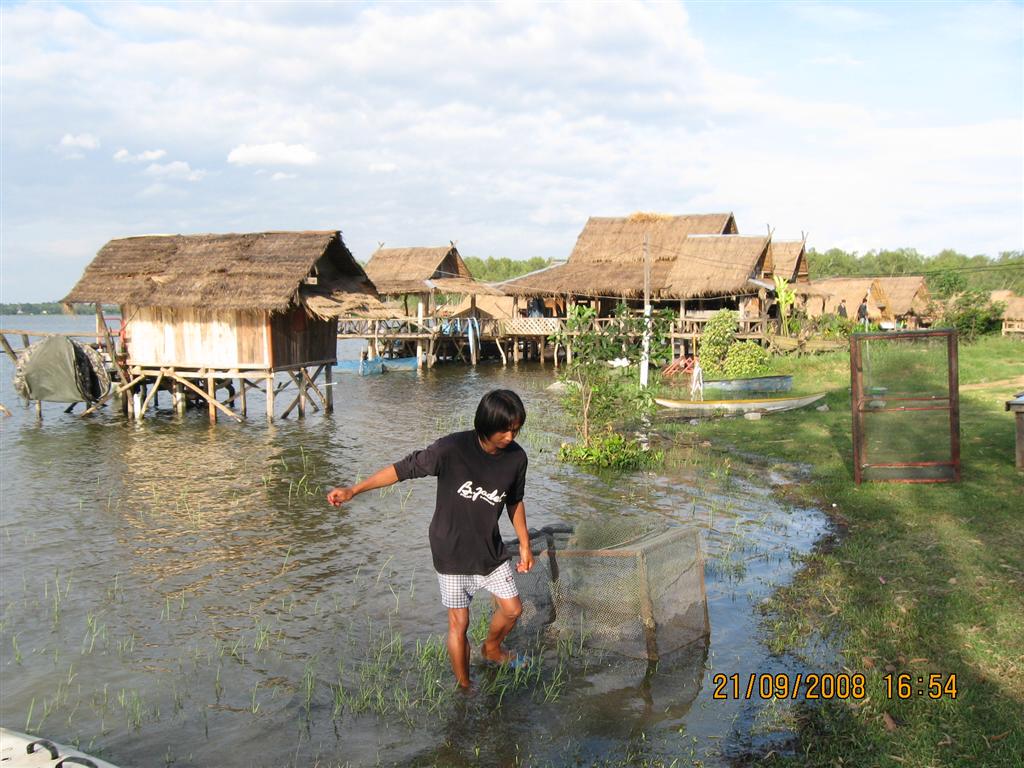 น้ำท่วมซุ้ม น้องกุ้งมาหา+ดอกกราย ที่นี้.ประเทศไทย 