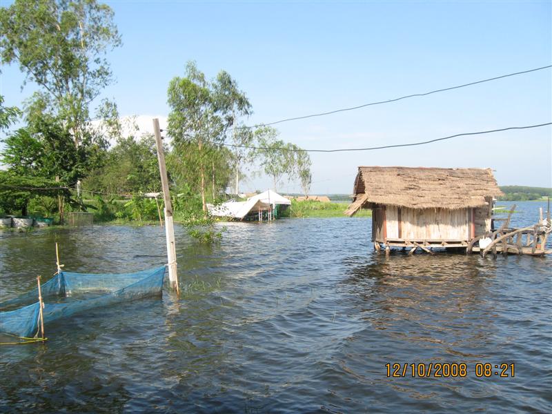 น้ำท่วม..ที่นี้..ประเทศไทย (ดอกกราย)