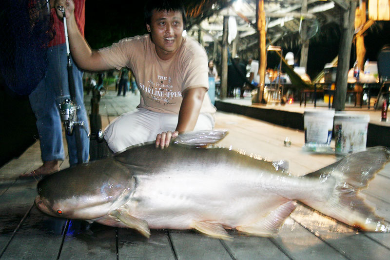 8 กระดานที่บานสำรึง