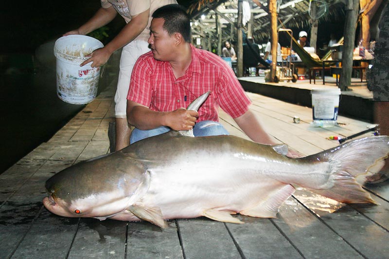 8 กระดานที่บานสำรึง