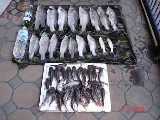 ฟ้าสางที่บางปะกงกับทีม TRUE FISHING ในวันกระชังแตก