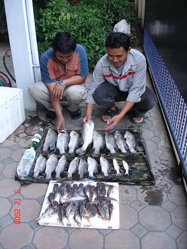 ฟ้าสางที่บางปะกงกับทีม TRUE FISHING ในวันกระชังแตก