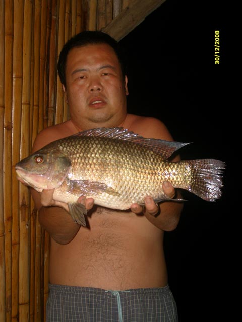 เขื่อนศรีฯยังมีปลา (แพฉลุย) : Fishing Photo