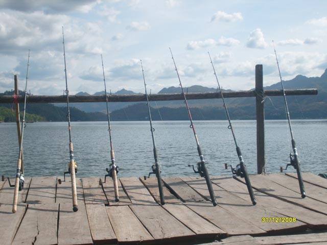 เขื่อนศรีฯยังมีปลา (แพฉลุย) : Fishing Photo