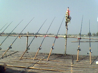 แพลุงหมาย ที่บางไทร ทริพแรก