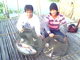 แพลุงหมาย ที่บางไทร ทริพแรก