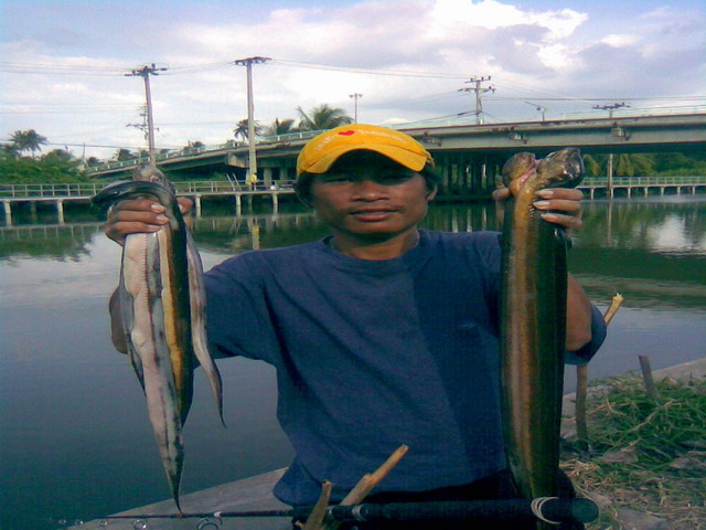 รวมผลงาน สะพานอักษรา ตลาดบางบัวทอง