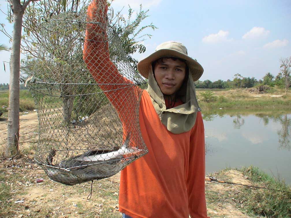 ปลาทูทองโคราช(อีกแล้ว)