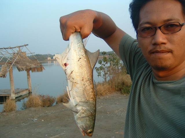 [^^]  กุเลาต้นปี