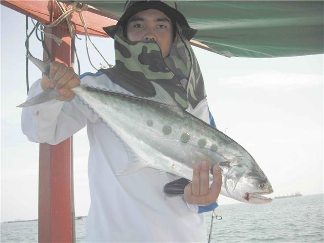 สุดยอดการตกปลา.....แห่งเกาะสีชัง...555