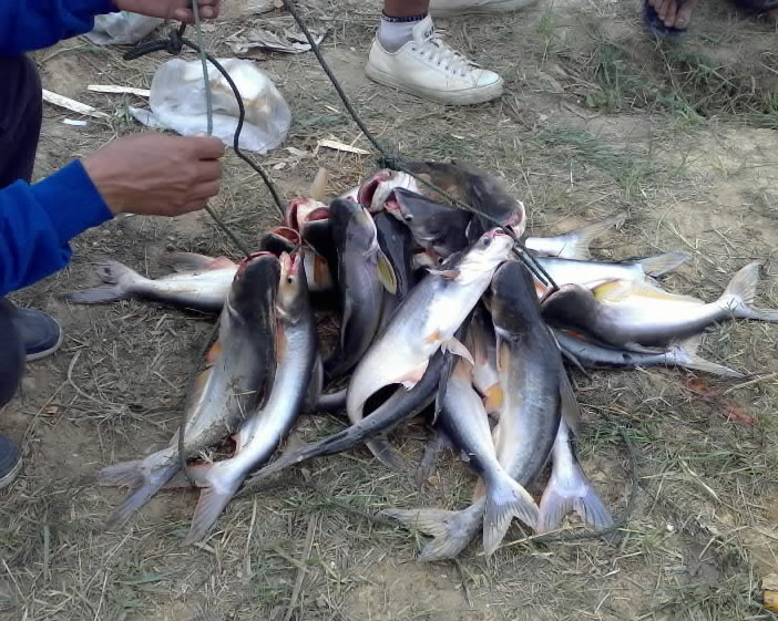 เก็บภาพการแข่งขันตกปลาที่บ่อตกปลาธรรมชาติมาฝากครับ