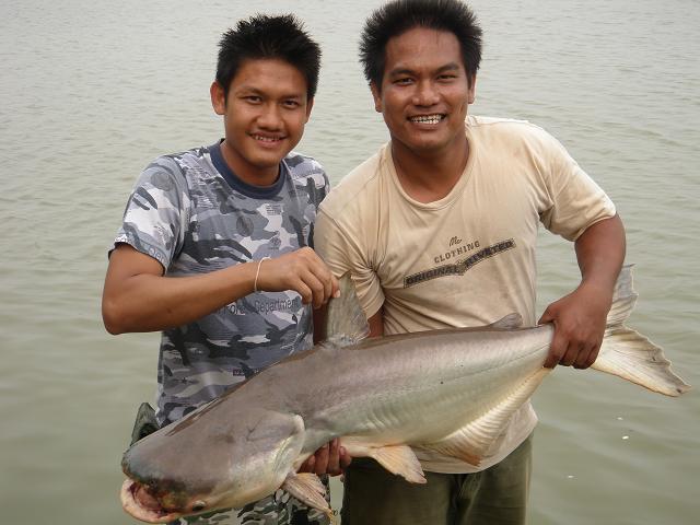 ล่าปลาบึกกับก๊วน stepline fishing club 2