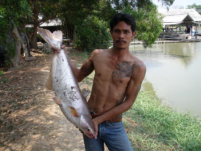 ล่าปลาบึกกับก๊วน stepline fishing club 2