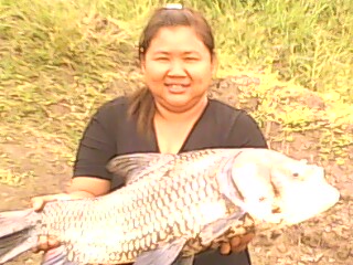 ลองดูบ่อที่บ้าน