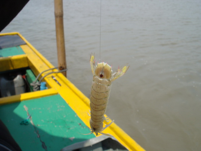 พรานบุรพาลงเรือบางทราย