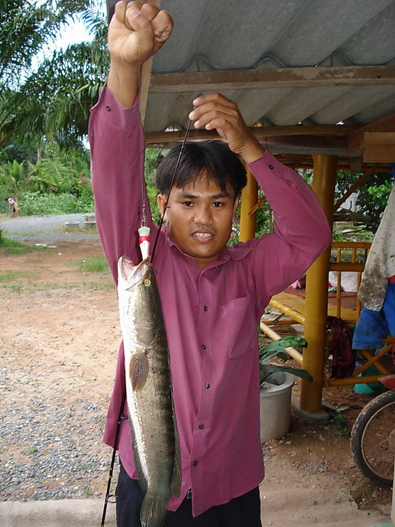 ทำเองใช้ตกเอง หรอยคาดครับ(ปลากับเหยื่อ)