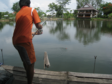 เปคู ที่ดรีมเลคเชียงใหม่