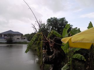 ทั้งฝนทั้งแดด