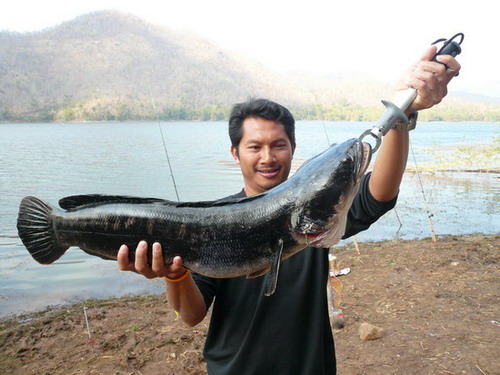 ภาพประทับใจหมายศรีสวัสดิ์ เมืองกาญ (ไปหลายรอบครับ)